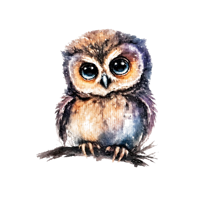 Búho de Eulen, ilustración en acuarela